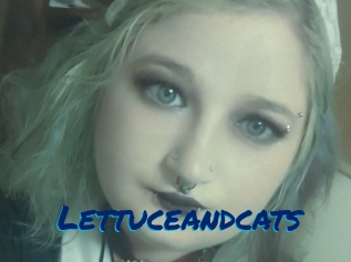 Lettuceandcats