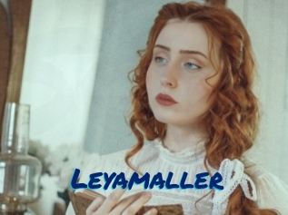 Leyamaller