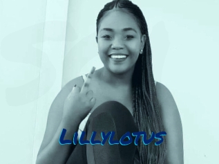 Lillylotus