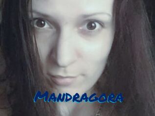 Mandragora