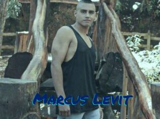 Marcus_Levit