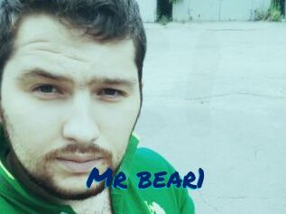 Mr_bear1