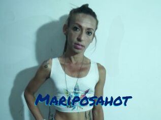 Mariposa_hot