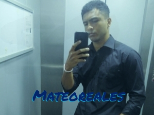 Mateoreales