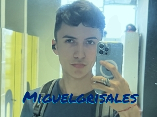 Miguelgrisales