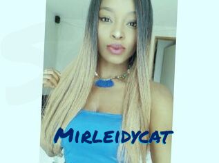 Mirleidycat