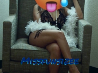 Missfunsizee