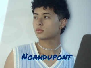 Noahdupont