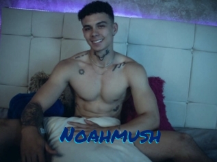 Noahmush