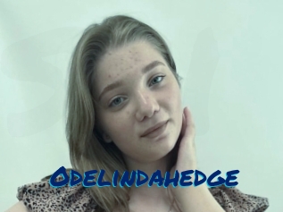 Odelindahedge