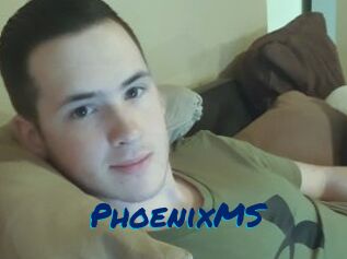 PhoenixMS