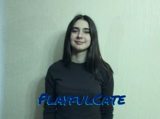 PlayfulCate