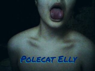 Polecat_Elly