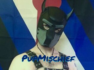 PupMischief