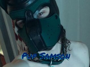 Pup_Samson