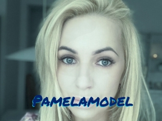 Pamelamodel