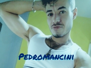 Pedromancini