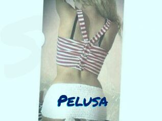 Pelusa