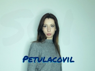 Petulacovil