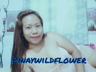 Pinaywildflower