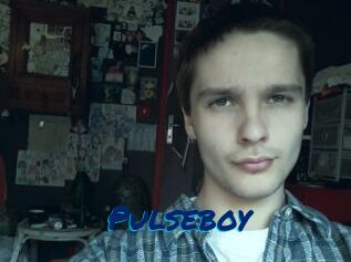 Pulseboy