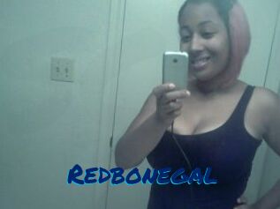 Redbonegal