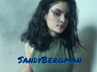 SandyBergman