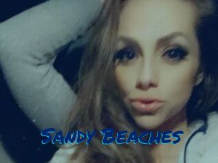 Sandy_Beaches