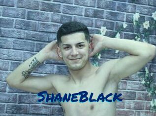 ShaneBlack