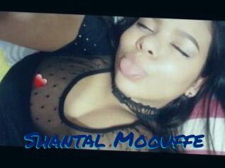 Shantal_Moouffe