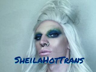 SheilaHotTrans