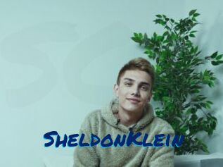 SheldonKlein