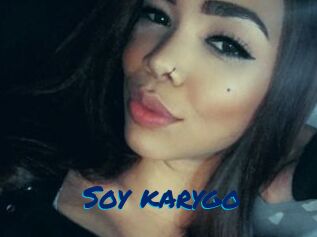 Soy_karygo