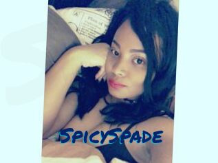 SpicySpade