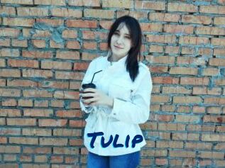 Tulip