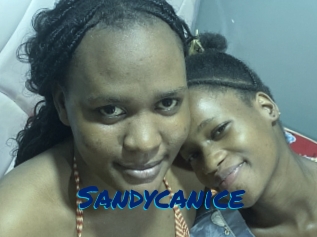 Sandycanice