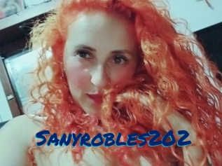 Sanyrobles202