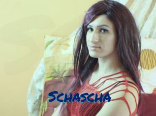 Schascha