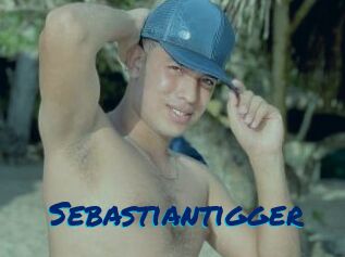 Sebastiantigger