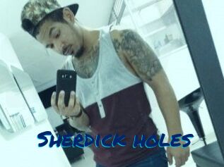 Sherdick_holes