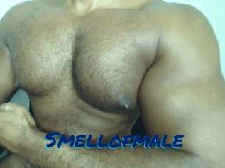 Smellofmale