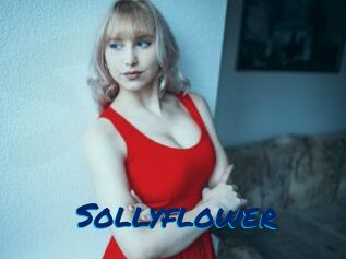 Sollyflower