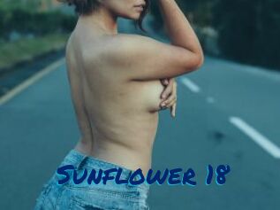 Sunflower_18