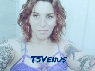 TS_Venus