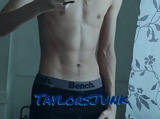 TaylorsJunk