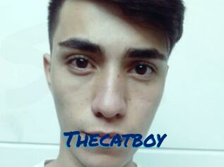 Thecatboy