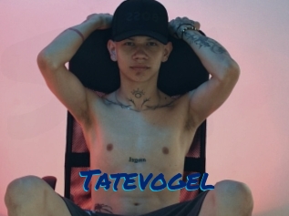 Tatevogel