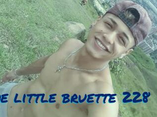 The_little_bruette_228