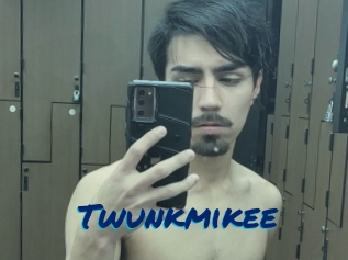 Twunkmikee