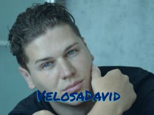 VelosaDavid